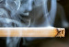 Harga Rokok Disorot, Bea Cukai Intensifkan Pengawasan Cukai