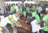 Presiden Prabowo Berikan Bantuan Sapi Kurban, Wali Kota Prabumulih Sampaikan Terima Kasih