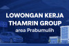 Thamrin Group Buka Lowongan Sales Counter Suzuki untuk Area Prabumulih, Ini Syaratnya