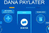 Cara Mudah Cairkan Dana Lewat Fitur PayLater di Aplikasi DANA