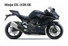 Motor Sport Ikonik Sejak Dulu, Kawasaki Ninja ZX-25R Vs Ninja ZX-25R SE