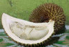 Tiga Daerah di Sumsel Unggul dalam Produksi Durian