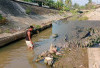 Sungai Kering, Ikan Sapu - Sapu di Kelekar Prabumulih Mati; Bau Menyengat Warga Resah! 