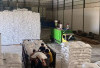 Petani Pilih Jual ke Bulog, Stok Beras Sumsel Melimpah