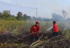 Karhutla Ancam Ogan Ilir, BPBD Siaga 131 Personel Tangani Kebakaran Lahan Gambut