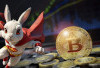 Rocky Rabbit, Cara Baru Mendapatkan Kripto Melalui Permainan Clicker