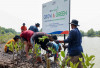 BRI Perkuat Aksi Nyata Selamatkan Pesisir Lewat Program Penanaman 10.000 Mangrove di Muara Gembong