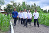Jokowi Apresiasi Produktivitas Pertanian Sulawesi Selatan: Potensi Pasokan untuk IKN