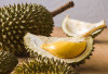 Durian, Raja Buah yang Kaya Nutrisi dan Manfaat Kesehatan