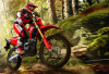 Adu Tangguh Dua Motor Off Road, Honda CRF150L Vs Kawasaki KLX150 Lebih Pilih Mana?