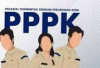 66.495 Tenaga Honorer Gagal Jadi PPPK Paruh Waktu, BKN: R2 dan R3 Tak Perlu Panik